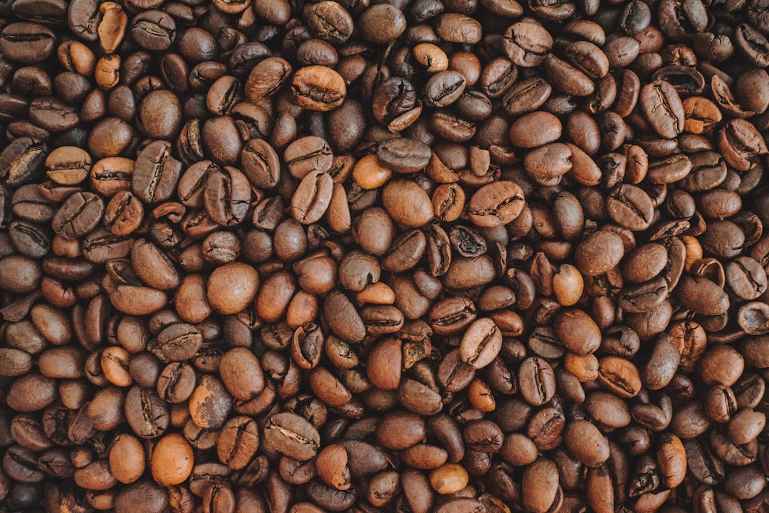 Delving into the Rich World of Single-Origin Coffees
