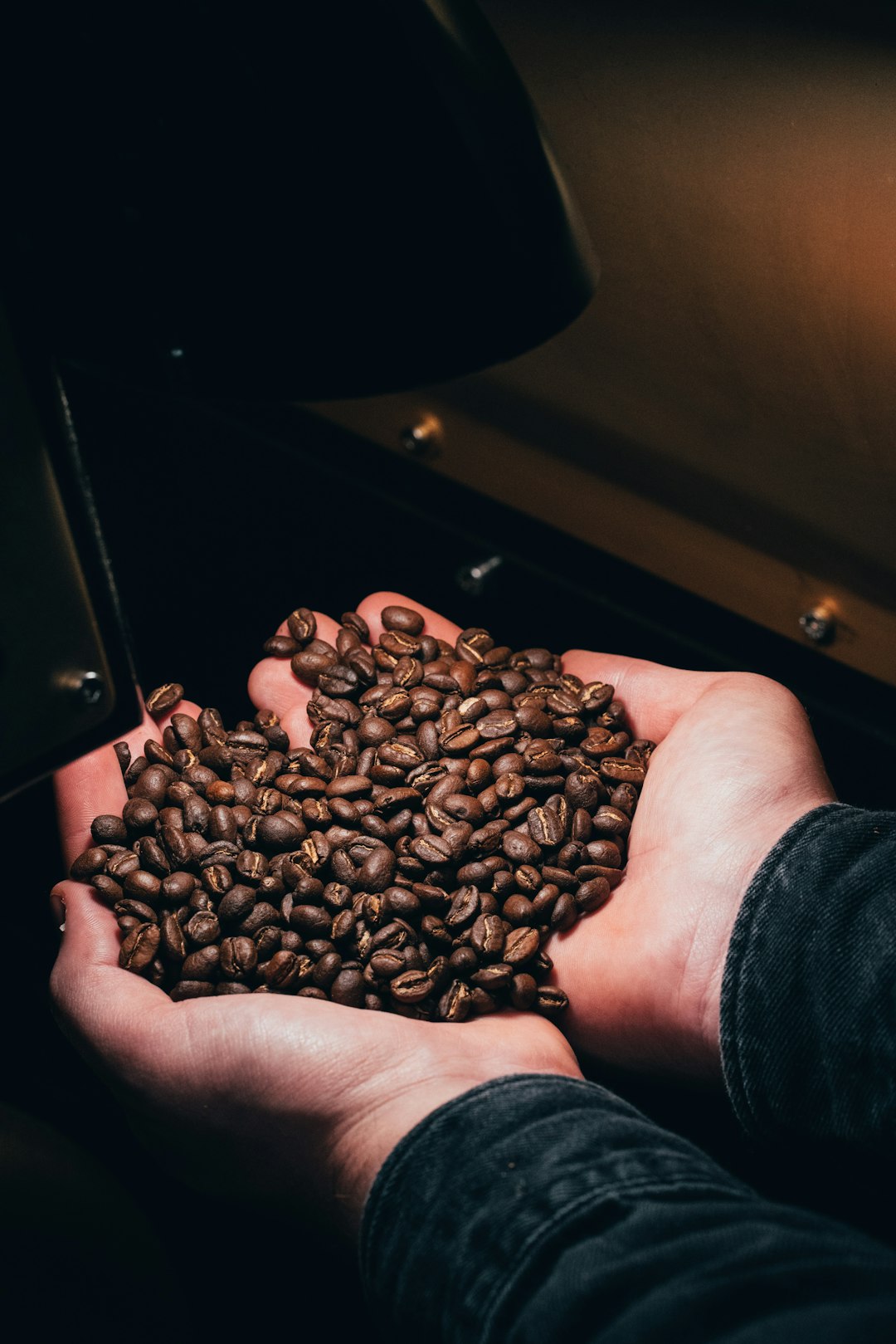 Exploring the Art of Coffee Roasting Techniques
