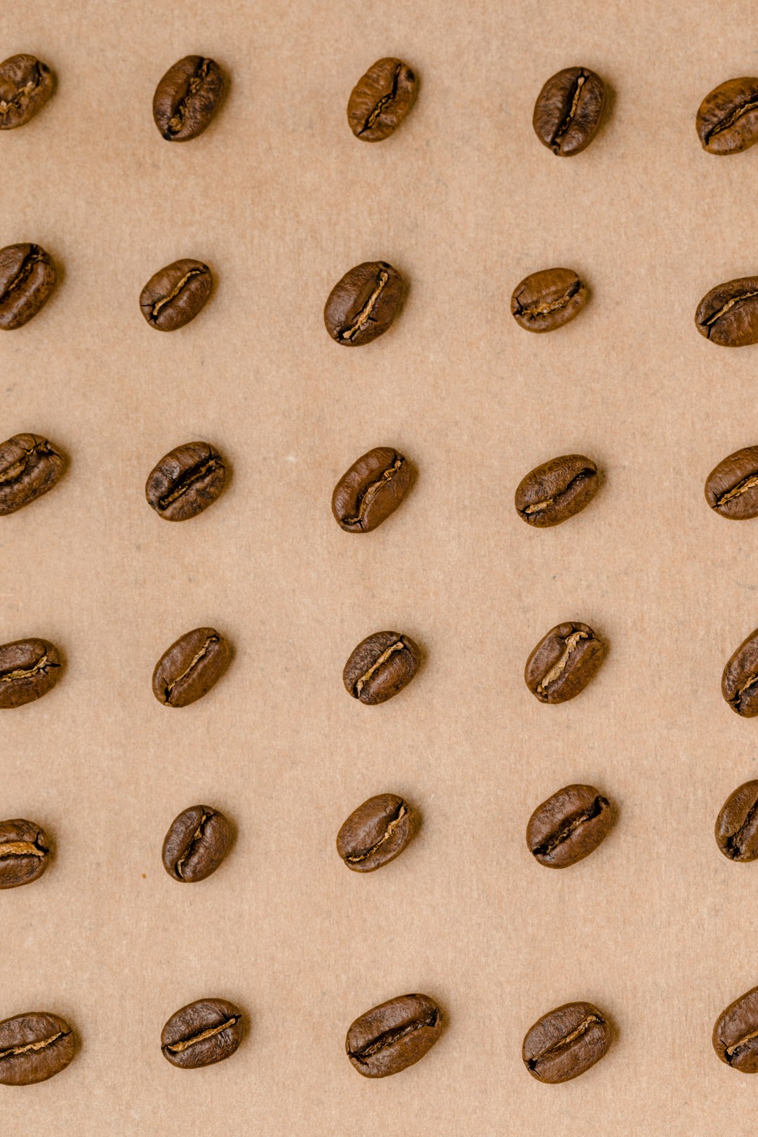 The Art of Coffee Cupping: A Beginner's Guide