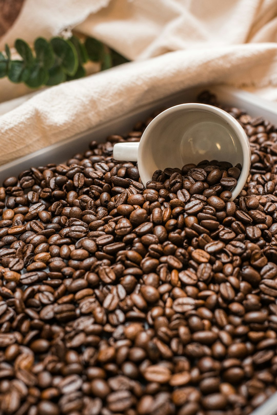 The Health Benefits of Specialty Coffee: Separating Facts from Myths