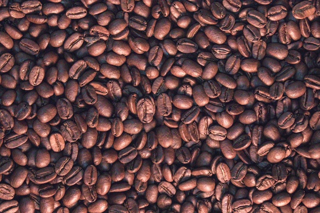 Coffee Around the World: Discovering Global Brewing Traditions